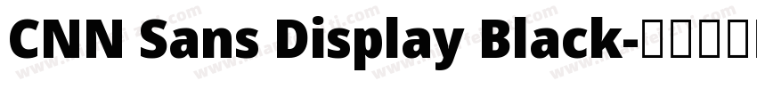 CNN Sans Display Black字体转换
